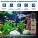 Buy Forever Speed 3-in-1 Aquarium Internal Filter 1500L/h - Adjustable Flow Water Pump for 100-300L Aquariums - 25W | International Shipping - Buy Online on GoSupps.com