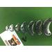 Large Eagle Shoe & Boot Metal Heel Plates - 2 Inch, 6 Pairs - Buy Online on GoSupps.com