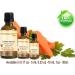 CARROT SEED OIL 100% Pure/Natural/Extra Virgin/Unrefined/Cold Pressed/Undiluted Carrier Oil. 0.17 Fl.oz.- 5 ml. Skin Body and Hair Care. by Botanical Beauty - Buy Online on GoSupps.com