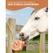 Himalayan Salt Lick Stone 1 x Lick Stone with Cord Total Approx. 4-5 kg for Horses Sheep Cattle Game Livestock Salt Mineral Lick Stone - Premium Lick Stone - Buy Online on GoSupps.com