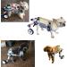 Adjustable Dog Cart/Wheelchair Fordable Dog Wheelchair for Back Legs Assist Small Pets with Paralyzed Hind Limbs to Recover Their Mobility A XXS - Buy Online on GoSupps.com