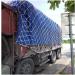 Bird Netting White Reusable Anti Bird Garden Protection Mesh Indoor White Decoration Protective Net Security Stairs Net (1x5M(3X16FT)) () - Buy Online on GoSupps.com
