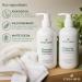 EVA + AVO Shampoo and Conditioner Set | Hydrating Avocado Oil & Wild Rosemary for All Hair Types | 8 Fl Oz Duo - International Shipping Available - Buy Online on GoSupps.com