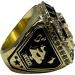 Champion Gold Last Place Loser Trophy Ring with Neck Chain and Stand - Fantasy Prize Gift - Buy Online on GoSupps.com