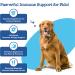 Zesty Paws Advanced Aller-Immune Bites for Dogs - Salmon Flavor Soft Chews, 90 Count (12.7 oz) - Boost Immune System & Allergies - Buy Online on GoSupps.com