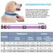Haapaw Reflective Dog Collar - Padded Soft Neoprene Nylon for Small & Medium Dogs - Purple L (1 Pack) - International Shipping Available - Buy Online on GoSupps.com