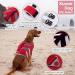 Kuoser Adjustable Dog Life Jacket with Reflective Stripes for Small, Medium, and Large Dogs - X-Large Red - Buy Online on GoSupps.com