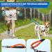 Buy Eyin Double Dog Leash for Large Dogs - Flexible Reflective & Healing-Free with 3 Padded Handles | Ideal for 11-68 kg Dogs - Orange - Buy Online on GoSupps.com