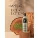 Latouche Body & Hand Lotion 16oz (473ml) - Pack of 3 | Hydrating & Nourishing Formula - Buy Online on GoSupps.com