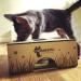 Cat Amazing Classic Puzzle Feeder Toy | Interactive Enrichment for Indoor Cats | Treat Box & Food Maze | Best Cat Toy - Buy Online on GoSupps.com