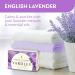 Buy English Lavender Bath Soap Bundle | Moisturizing 4.25 oz Soap with Bath Sponge | Calming & Luxurious Cleansing | Pack of 6 - Buy Online on GoSupps.com