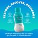 Plug Recovery Drink 12-Pack - Plant-Based Electrolyte Hydration, Liver Detox, Immunity Boost - No Sugar, No Caffeine - 3.4 Fl Oz (Pack of 12) - Buy Online on GoSupps.com