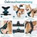 Rabbitgoo Dog Harness for Medium & Large Dogs - No Pull Breathable Control Harness with Reflective Stripes - Dark Green XL (1 Pack) - Buy Online on GoSupps.com
