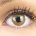 Very covering and natural brown contact lenses Silicone Comfort Novelry Color "Jasmine Brown" + container of Glamlens - 1 pair (2 pieces) - Dia 14.00 - Without strength 0.00 Dioptries