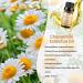 2-Pack Pure Roman Chamomile Essential Oil - Natural Chamomile Oil for Diffusers & Skin Care | 10mL each - Buy Online on GoSupps.com