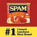 Spam Tocino Seasoning 12 oz Can - Delicious Seasoning Mix for Authentic Tocino Flavor - Buy Online on GoSupps.com