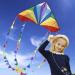 HONBO Large Delta Kite for Kids & Adults - Easy-to-Fly Beach Kite with Colorful Tail - Includes String Line - Ideal for Beginners - Buy Online on GoSupps.com
