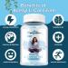 Acetyl L-Carnitine Gummies 1000 MG - Vegan Sugar-Free Supplement for Muscle Endurance Brain Health & Energy - Blueberry Flavor - 60 Count - Buy Online on GoSupps.com