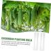Toddmomy 3pcs Vegetable Shaping Vegetables Fruit Stereotypes Molds Shaper Garden Tools Pizza - Buy Online on GoSupps.com