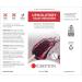 Crypton Upholstery Gold & Purple Stain Remover Kit with Odor Out Deodorizer - 8 fl. oz. | International Shipping Available - Buy Online on GoSupps.com