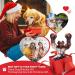 Zinbo Indestructible Dog Toys for Aggressive Chewers - Dark Brown, Medium/Large Breed - Buy Online on GoSupps.com