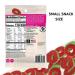 Snak Club Tajin Watermelon Rings 2.25oz (Pack of 12) - Chili & Lime Gummy Snacks | Gluten-Free, Mild Heat, Bold Flavor - Buy Online on GoSupps.com