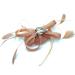 Ladies Peach Feather Beaded Beak Clip Fascinator for Weddings, Races & Royal Ascot - Buy Online on GoSupps.com