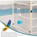 DADYOUPIN bird food drinker bird water bottle parrot automatic water feeder bird bath for cage budgie water dispenser bird water feeder for bird parrot food - Buy Online on GoSupps.com