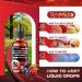Tenmido Hawthorn Berry Extract Liquid Drops - 7in1 with Hibiscus Beet Root Quercetin Garlic Olive Leaf and Turmeric - Vegan Non-GMO - 30 ml 1 Fl Oz - Buy Online on GoSupps.com