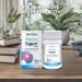 HERBION Naturals Memory Support Capsules Helps Improve Brain Function & Absent Mindedness Maintains Healthy Mood Levels with Ginkgo Biloba for Adults 60 Count Pack of 1 60 Count (Pack of 1) - Buy Online on GoSupps.com