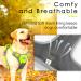 Thinkpet Anti Pull Dog Harness - Adjustable Reflective Body Harness with Handle for Easy Control - Breathable & Comfortable - Large Bright Green (1 Pack) - Buy Online on GoSupps.com