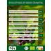 Buy Biojoy ORGANIC Aronia Berries - Dried Whole Superfood (500g) | Nutrient-Rich & International Shipping - Buy Online on GoSupps.com