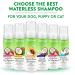TropiClean Hypoallergenic Waterless Dog Shampoo 7.4 Fl Oz - Made in USA - Buy Online on GoSupps.com