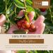Golden Jojoba Oil - 500ml | 100% Pure & Natural | Unrefined Cold Pressed | Vegan Friendly by Freshskin Beauty LTD - Buy Online on GoSupps.com