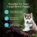Blue Buffalo Wilderness More Meat & Wholesome Grains Natural Dry Dog Food Large Breed Puppy Chicken 24lb Large Breed Puppy More Meat Wholesome Grains - Buy Online on GoSupps.com
