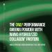 Frog Fuel Performance Greens Protein Powder Nano-Hydrolyzed Grass Fed Protein Greens Powder 5B CFU Probiotics/Prebiotics 9G Protein 7 EAAs Energy & Muscle Support Lemon Lime 30 Servings - Buy Online on GoSupps.com