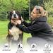 Byyt Ultrasound Dog Whistle - High Frequency Training Tool with Lanyard | Effective Bark Control & Dog Education - Buy Online on GoSupps.com