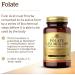 Solgar Folate 800 mcg Bio-Active Metafolin - 100 Tablets x 2 - Heart Health Support - Non-GMO Vegan Gluten Free Dairy Free Kosher - 200 Total Servings - Buy Online on GoSupps.com