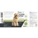 Reavet Tick Protection Dog Spray 500ml | Black Cumin Oil | Instant Tick Defense for Puppies - Buy Online on GoSupps.com