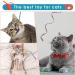 Amaxiu Cat Wand Toy Set Interactive Cat Wand Toy with Rainbow Ribbon String Rainbow Cloth String Leopard Print Cloth String for Small Cats Kittens Indoor Training Catcher(3 Packs) - Buy Online on GoSupps.com
