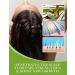 Ethereal Nature 99% Natural Hair Oil Blend with Tea Tree - 7.1 oz | Nourish & Protect Your Hair - Buy Online on GoSupps.com
