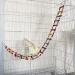 Large Bird Parrot Toys Ladders Swing Chewing Toys Hanging Pet Bird Cage Accessories Hammock Swing Toy for Small Parakeets Cockatiels 18 Ladders 48 inch - Buy Online on GoSupps.com