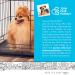 Medium Plastic Replacement Tray for Dog Crate Pan - Fits 24 Crates - Pet Cage Liner for Dogs, Cats, Rabbits, and Ferrets - Buy Online on GoSupps.com