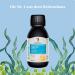 Dr. Budwig Omega 3 Algae Oil Vegan 100ml - High DHA & EPA Vitamin D3 & K2 Omega 3 for Kids - Natural Algae Oil Supplement - Buy Online on GoSupps.com