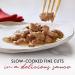 Gourmet Mon Petit Intense Tuna Salmon and Trout Adult Wet Cat Food 6x50g Pack of 8 - Buy Online on GoSupps.com