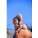 Buy Microplane Premium Footfish White - Best International Shipping & Quality - Buy Online on GoSupps.com