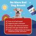 Pup Labs Fresh Breathies: All-Natural Dental Chews for Dogs - Supports Gut Health & Immune System - Made in USA - 60 Chews - Buy Online on GoSupps.com