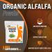 Organic Alfalfa Powder - 250g - Green Superfood Supplement | BulkSupplements - Buy Online on GoSupps.com