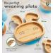 Bamboo Bunny Suction Plate for Baby and Toddler Feeding | Secure Suction | Ideal for Babies 6+ Months | Bunny Orange - Buy Online on GoSupps.com