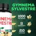 1000mg Gymnema Sylvestre Supplements - 210 Capsules - Gymnema Extract 20:1 with Berberine HCl, Quercetin & More - Support for Immune, Digestive Health & Body Management 210 Count (Pack of 1) - Buy Online on GoSupps.com